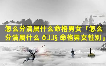 怎么分清属什么命格男女「怎么分清属什么 🐧 命格男女性别」